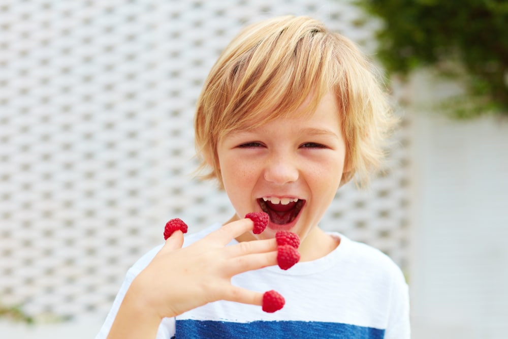 Delighted,Kid,,Boy,Tasting,Ripe,And,Fresh,Raspberries,From,His
